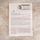 Свеча магическая медовая с диким сафлором для восстановления энергии «Salamandra», 12 штук - фото 21433683