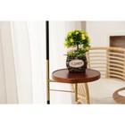 Кашпо для цветов плетёное Доляна FLOWER, 13×9,5×9 см, цвет тёмно-коричневый - фото 24523070