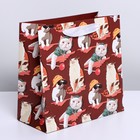 Пакет подарочный ламинированный квадратный, упаковка, «Котейка», 22×22×11 см 7150756