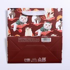 Пакет подарочный ламинированный квадратный, упаковка, «Котейка», 22×22×11 см 7150756