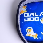 Лежанка овальная Galaxy dog, 43 х 32 х 9.5 см - Фото 7