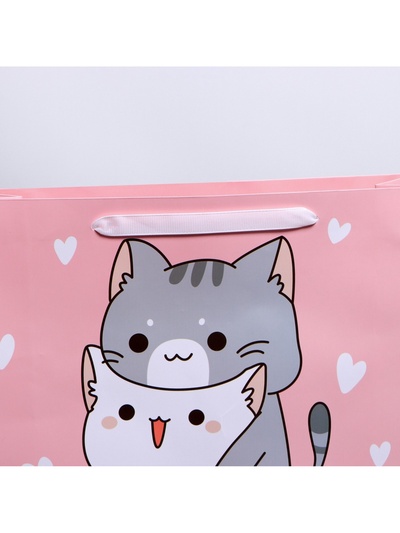 Пакет подарочный ламинированный, упаковка, «Киса», M 30×25.5×9 см