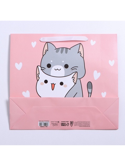 Пакет подарочный ламинированный, упаковка, «Киса», M 30×25.5×9 см