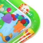 Акваковрик надувной развивающий водный «Домашние животные», 80×50 см - Фото 2