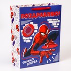 Пакет подарочный, 31 х 40 х 11,5 см "Поздравляю!", Человек-паук - фото 9858721