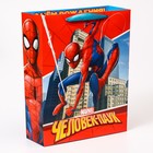 Пакет подарочный, 31 х 40 х 11,5 см "С днем рождения!", Человек-паук - фото 9858722
