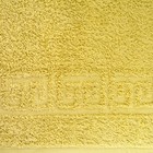 Полотенце махровое с бордюром 70х140 см,PALM, хлопок 100%, 430г/м2 - Фото 3