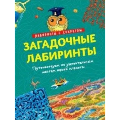 Загадочные лабиринты. Романова Т.