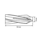 Дюбель РАЙС-ТОКС, для газобетона, нейлоновый, 8х50 мм, 250 шт (комплект 250 шт) - фото 24011959