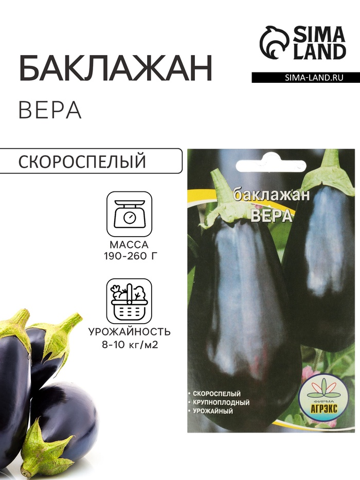 Семена Баклажан «Вера», 20 шт., скороспелый, «Агрэкс» - Фото 1