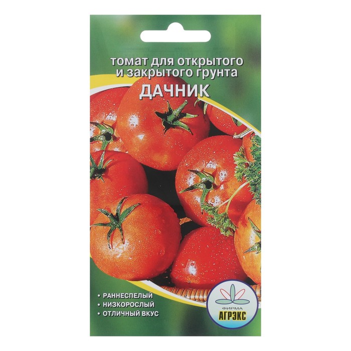 Помидоры дачник описание фото Помидоры дачник описание фото