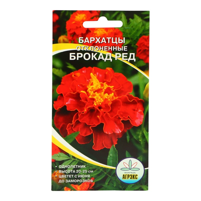 Семена Цветов однолетние Бархатцы «Брокад Ред», отклонённые, махровые, 0.2 г - Фото 1