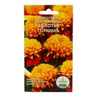 Семена Цветов однолетние Бархатцы «Золотая головка», отклонённые, махровые, 0.2 г - Фото 1