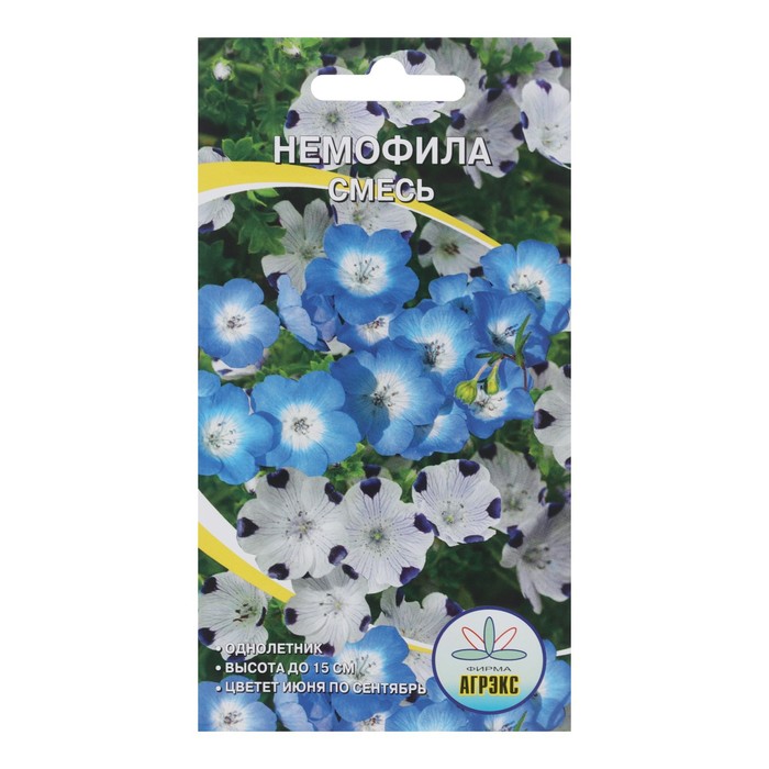 Семена Цветов однолетние Немофила, 0,1 г - Фото 1