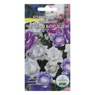 Семена Цветов Колокольчик "Чашка с блюдцем", 0,1 г - Фото 1