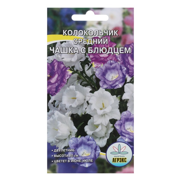 Семена Цветов Колокольчик "Чашка с блюдцем", 0,1 г - Фото 1