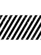Тетрадь 96 листов в клетку, Calligrata, Black and White, МИКС 6250553 - фото 6041932