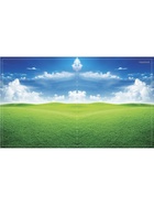 Тетрадь 96 листов в клетку Calligrata «Прекрасная пора», МИКС - фото 117400704 Тетрадь 96 листов в клетку Calligrata «Прекрасная пора», МИКС - фото 117400704