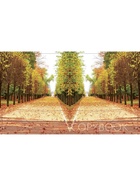 Тетрадь 96 листов в клетку Calligrata «Прекрасная пора», МИКС - фото 117400705 Тетрадь 96 листов в клетку Calligrata «Прекрасная пора», МИКС - фото 117400705