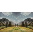 Тетрадь 96 листов в клетку Calligrata «Прекрасная пора», МИКС - фото 117400702 Тетрадь 96 листов в клетку Calligrata «Прекрасная пора», МИКС - фото 117400702