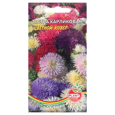 Семена цветов Астра Карликовая "Цветной ковер", 0,1 г