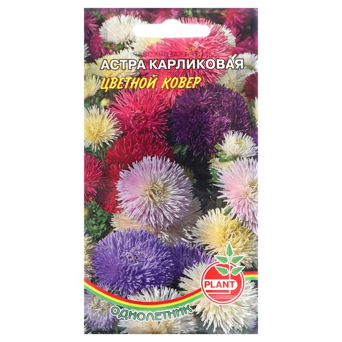 Семена цветов Астра Карликовая "Цветной ковер", 0,1 г - Фото 1