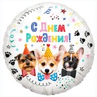 Шар фольгированный 18" «С днём рождения! Собачки», круг, в упаковке - фото 2813996