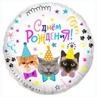 Шар фольгированный 18" «С днём рождения! Котики», круг, в упаковке - фото 2813999
