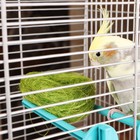 Гнездо, крашеная солома, 10 см, микс цветов - Фото 4