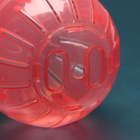 Шар для грызунов 10 см, красный - Фото 4