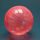 Шар для грызунов 10 см, красный - Фото 6