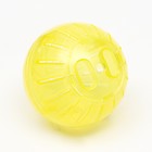 Набор для грызунов: шар 10 см и поилка 60 мл, жёлтый - фото 6514071