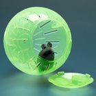 Шар для грызунов Пижон FRIENDS, 12 см, зелёный - Фото 3