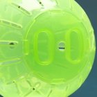 Шар для грызунов Пижон FRIENDS, 12 см, зелёный - Фото 4