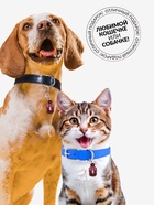 Адресник-капсула под записку «Бочонок», 1.1×2.3 см, металл, красный - Фото 4