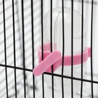 Поилка для грызунов, 60 мл, прозрачная с розовым креплением 6980836 - фото 15734215