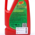 Средство для мытья полов Mister Dez Eco-Cleaning "Яблочный микс", 1 л - фото 24237926