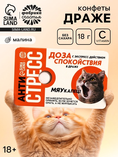 Конфеты драже освежающее с малиной «Антистресс», 18 г