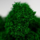 Кашпо бетонное "Шестиугольник" высота 6,5 см белое со мхом (мох зеленый стабилизированный) 5470413