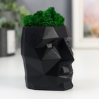 Стабилизированный мох в кашпо из бетона «Голова», 8.5 см, чёрное 7491450