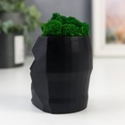 Стабилизированный мох в кашпо из бетона «Голова», 8.5 см, чёрное 7491450