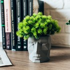 Стабилизированный мох в кашпо из бетона «Голова», 8.5 см, чёрное 7491450