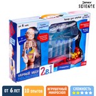 Набор для опытов «Научный набор 2В1», модель тела человека и лабораторная посуда - фото 4991710