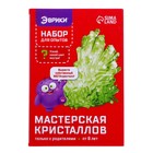 Набор для опытов «Мастерская кристаллов», мегакристалл - фото 24237932