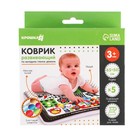 Акваковрик надувной развивающий для малышей «Гленн Доман», размер 65×50 см - Фото 9