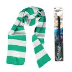 Карнавальный набор для магии «Юный волшебник»: палочка+ шарф 6945207 Карнавальный набор для магии «Юный волшебник»: палочка+ шарф 6945207