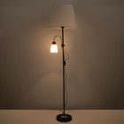 Торшер 19030/2BK, E27, 40 Вт, чёрный, 41×41×180 см - Фото 4