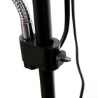 Торшер 19030/2BK, E27, 40 Вт, чёрный, 41×41×180 см - Фото 7