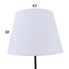 Торшер 19030/2BK, E27, 40 Вт, чёрный, 41×41×180 см - Фото 10