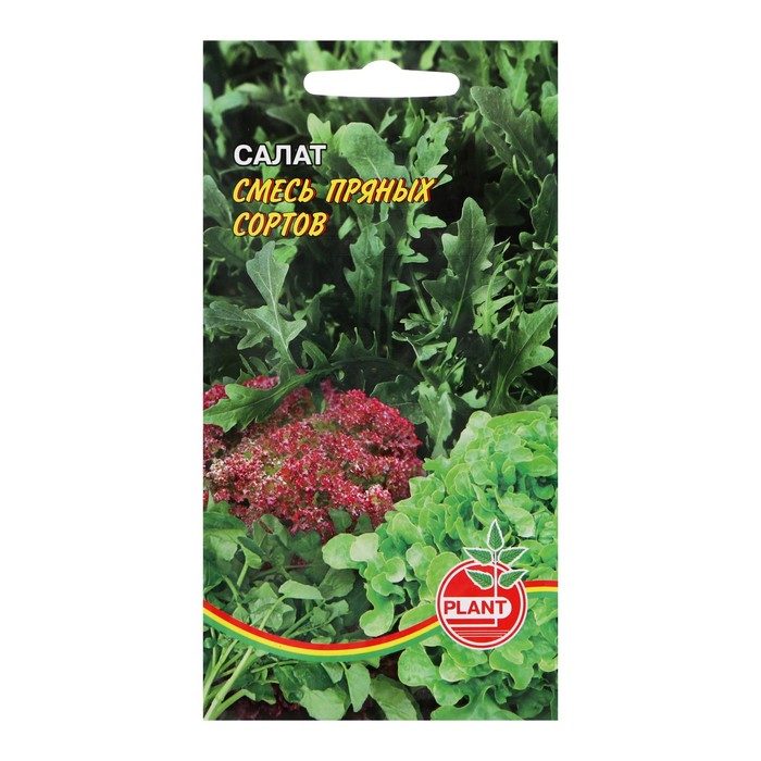 Семена Салат "Смесь пряных сортов", 0,25 г - Фото 1